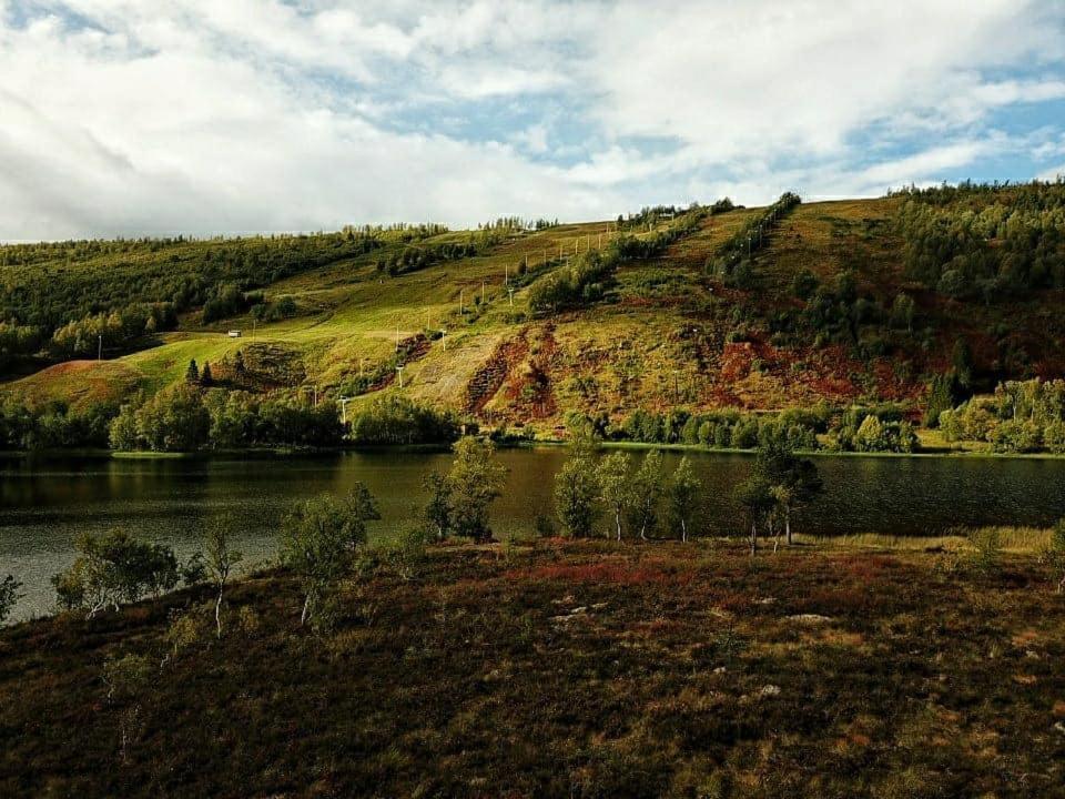Vestvatn - Arctic Cabins Brekke  Ngoại thất bức ảnh
